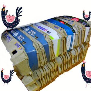 Lot 24 EMPTY EGG CARTONS - Each Carton Holds 1 Dozen